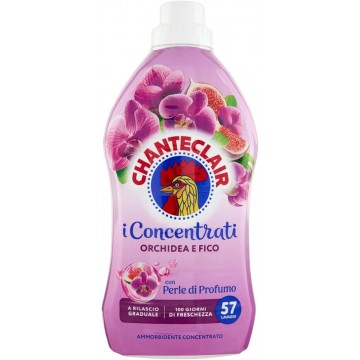 „Chanteclair I Concentrati...